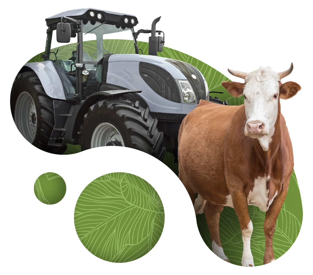 Imagen de referencia de Feria de Ganados y Maquinaria Agrícola en Cedrillas